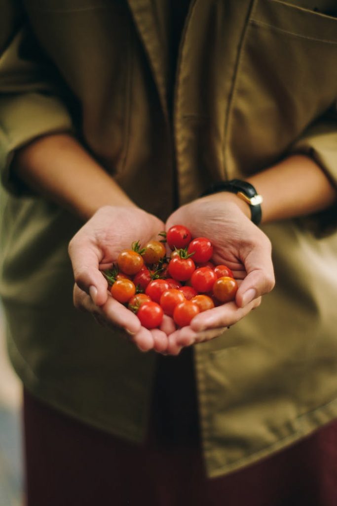 Photo of Person Holding Cherry Tomato